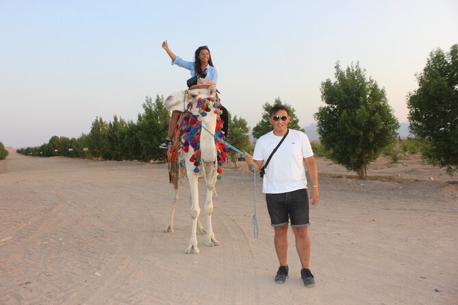 1 Hour horse Ride and Jeep adventure with stargazing -Hurghada - Is $50.02 good value?