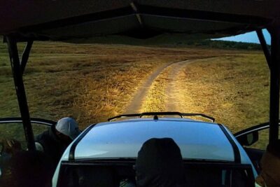 2 Hour Stargazing Tour in Victoria Falls NP Area in 4×4