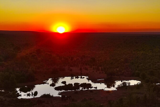 2 Hour Stargazing Tour in Victoria Falls NP Area in 4x4 - How the sky and wildlife work together