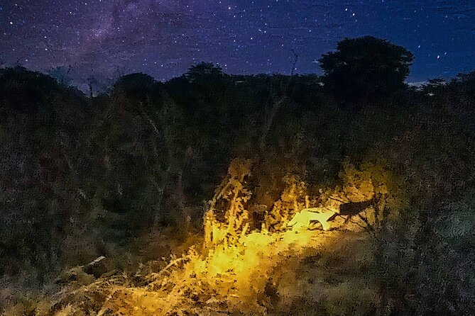 2 Hour Stargazing Tour in Victoria Falls NP Area in 4x4 - What the $99 price buys you