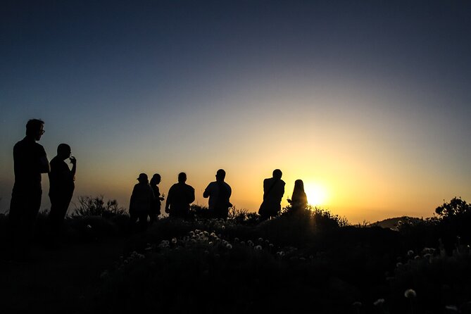 6-Hour Tour with Observation of the Stars 1242 with Lunch - El Pino Gordo, a five-minute stop with a big character