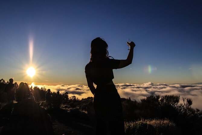6-Hour Tour with Observation of the Stars 1242 with Lunch - Who will enjoy this most