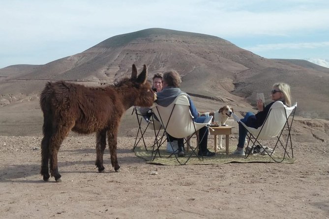 Agafay Desert: Your Exclusive Luxury Retreat Under the Stars - Key points to know before you book