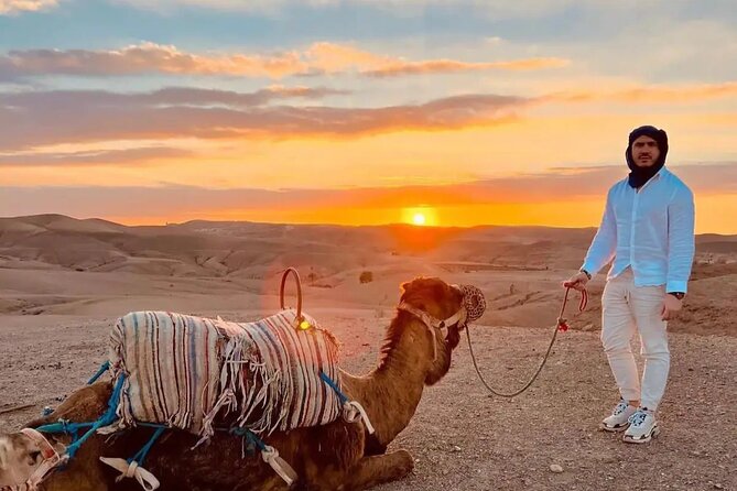Agafay Escape: Camel Ride, Fire Show & Dinner Under Stars - Key points to know before you book