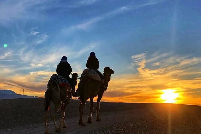 Agafay Escape: Camel Ride, Fire Show & Dinner Under Stars - What $29.36 covers in practical terms