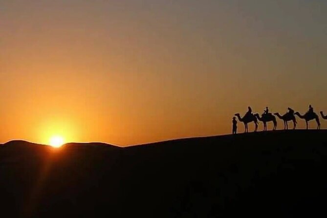 Agafay Escape: Camel Ride, Fire Show & Dinner Under Stars - Who will get the most from this evening