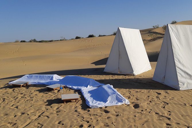 Amazing Overnight experience under the stars in Thar Desert - Lunch in a less-touristic part of the Thar Desert