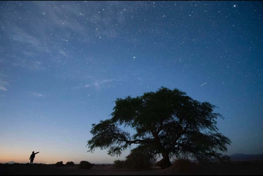 Antofagasta: Astronomical Tour with a Guide - Practical planning for a smooth evening