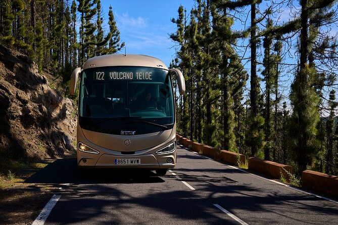 Astronomic Small-Group Tour on Tenerife Teide Observatory - The cable car base station and one hour of stargazing