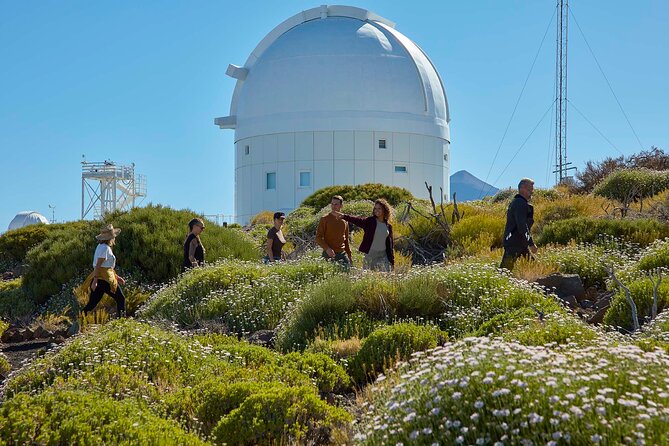 Astronomic Small-Group Tour on Tenerife Teide Observatory - Transport, timing, and the meeting point
