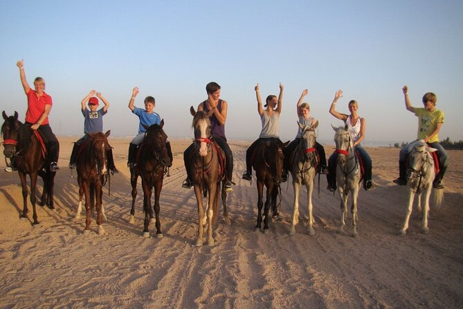 ATV horse stargazing - Key points at a glance
