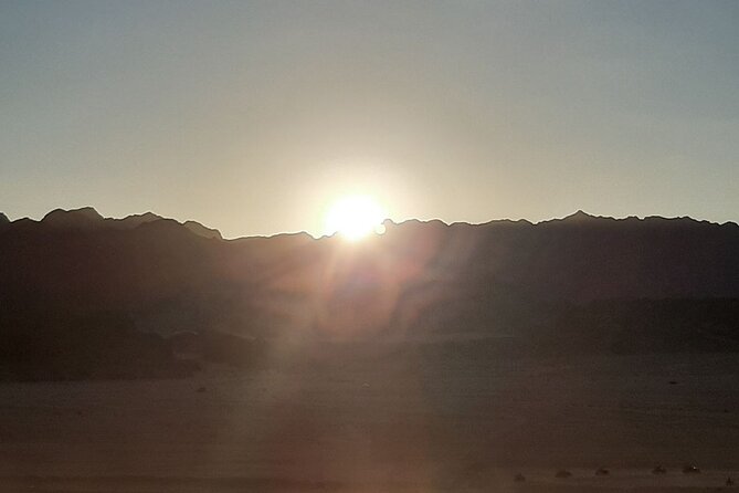 ATV horse stargazing - Tea, camels, and Bedouin bread