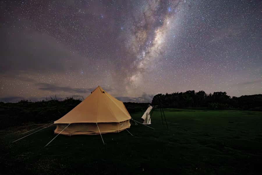 Auckland (Tawharanui): Wild Kiwi Bird Spotting Encounter - Stargazing under a low-light sky