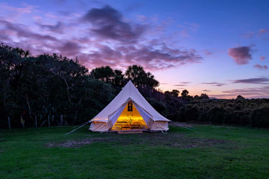 Auckland (Tawharanui): Wild Kiwi Bird Spotting Encounter - What the $89 price gives you