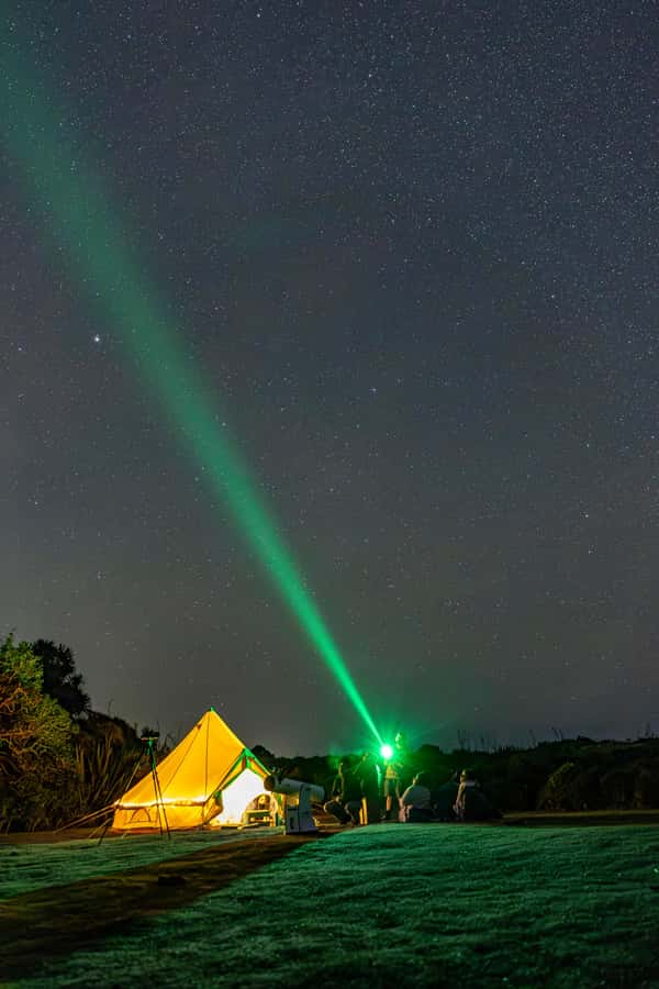 Auckland (Tawharanui): Wild Kiwi Bird Spotting Encounter - The optional glamping night