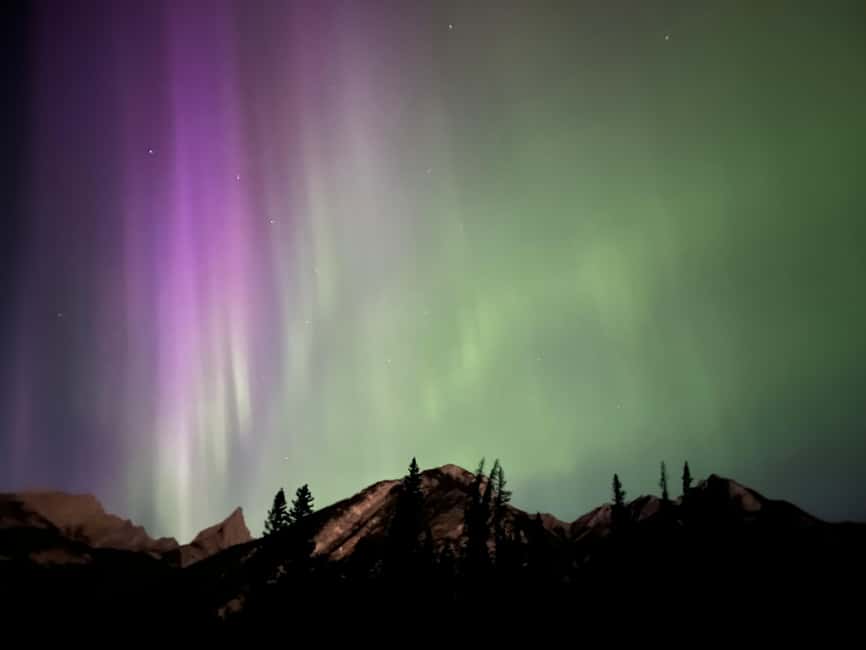 Banff: Guided Sunset and Stargazing Tour - Wildlife, darkness, and the feel of the trail
