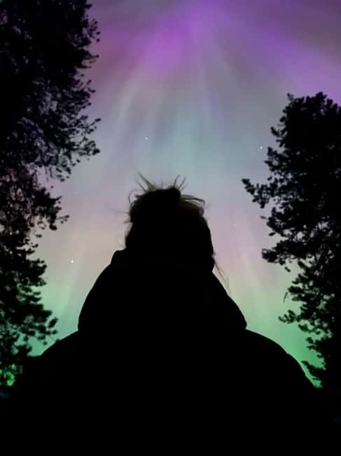 Banff: Guided Sunset and Stargazing Tour - Price, group size, and what you receive