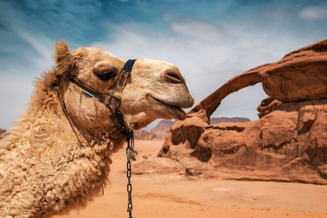 Best of Wadi Rum | Full day Jeep tour + Sleep under the stars | Pack all-in - Natural arches, viewpoints, and the value of the jeep