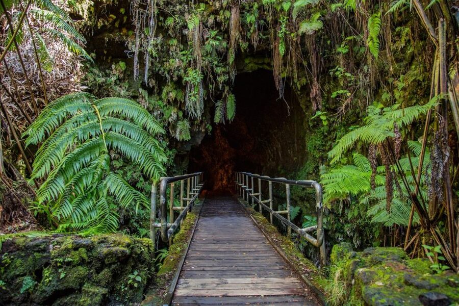 Big Island, Hawaii: Volcano and Stargazing Tour with Dinner - The guide can make or break the long drive