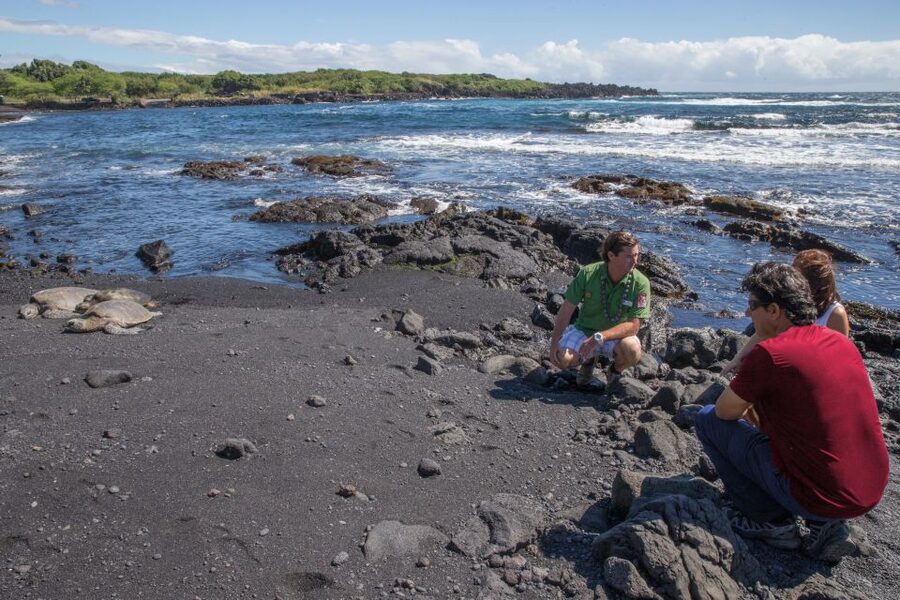 Big Island, Hawaii: Volcano and Stargazing Tour with Dinner - Is $297 a fair price?