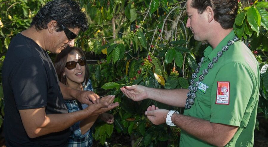 Big Island, Hawaii: Volcano and Stargazing Tour with Dinner - Who should book this tour?