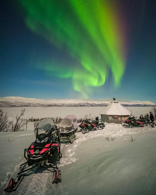 Björkliden/Abisko: Night Sky Snowmobile Tour - Key points to know before you book