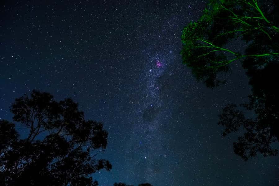 Blue Mountains: Stargazing with a Telescope and Astronomer - Should You Book the Stargazing Tour?
