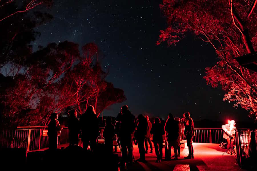 Blue Mountains: Stargazing with a Telescope and Astronomer - What Bad Weather Means for Your Booking