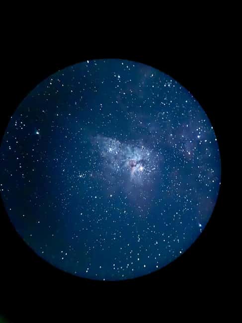 Brisbane: Glow Worms, Sunset, Star Gazing & BBQ - Who will enjoy this tour most