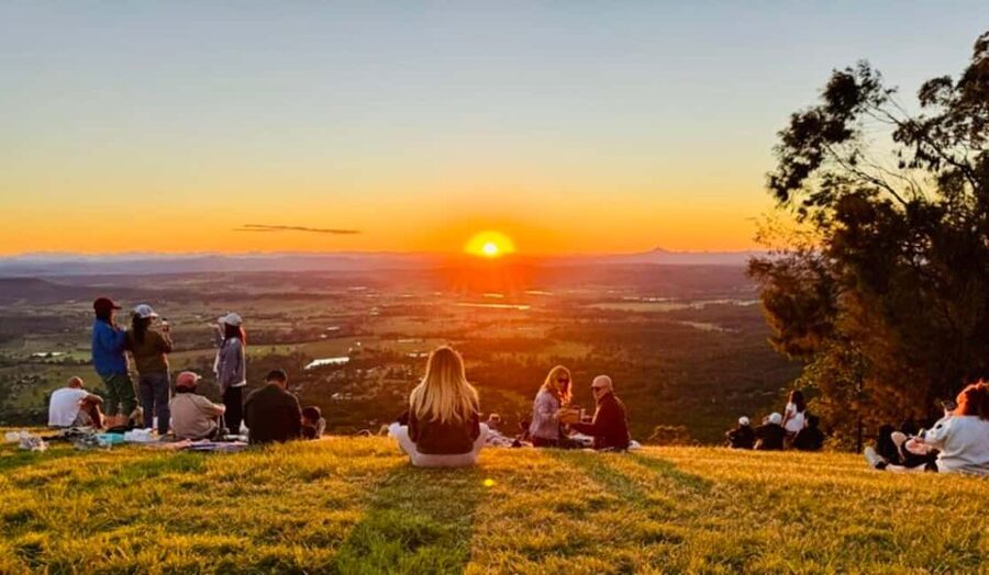 Brisbane: Glow Worms, Sunset, Star Gazing & BBQ - Glow worms beneath Tamborine Mountain
