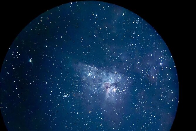 Brisbane: Glow Worms, Sunset, Telescope Stargazing & Dinner - What the BBQ dinner really includes