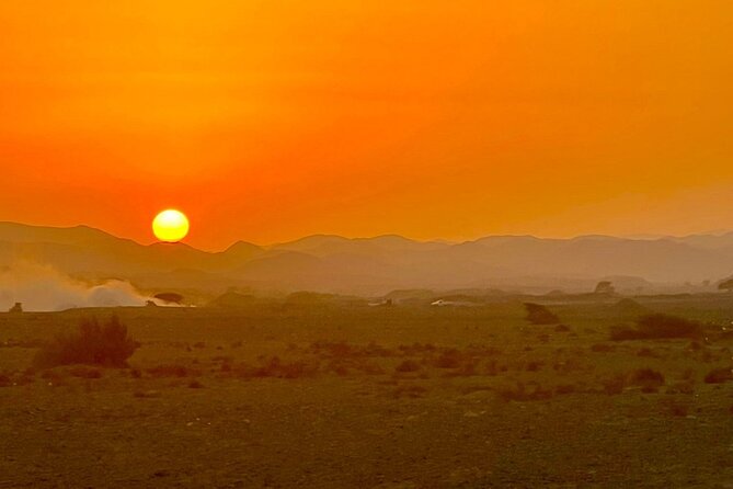 Camel Ride, Bedouin Dinner and Star Gazing in Marsa Alam - From Marsa Alam to Ababda camp