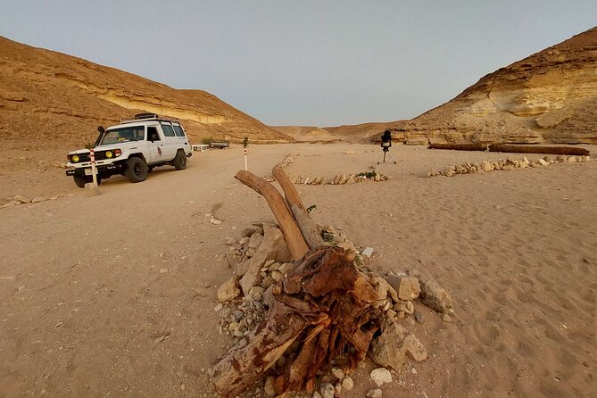 Camel Ride, Bedouin Dinner & Stargazing in 4X4 Jeep Safari in Hurghada - From your hotel to the open desert