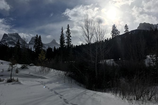 Canmore: Stargazing and Nature by Nightfall Walking Tour - 2hr - Meeting point and timing tips