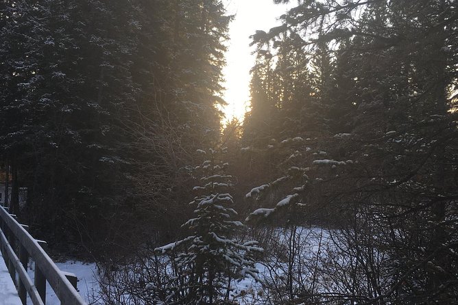 Canmore: Stargazing and Nature by Nightfall Walking Tour - 2hr - Who will enjoy this evening walk?