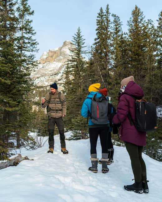 Canmore: Stargazing and Night Adventure - Stargazing, photography, and possible Northern Lights