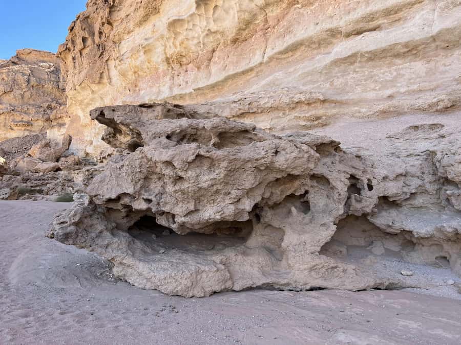 ( canyon hurghada & stargazing ) - The oasis, animals, and short riding stops