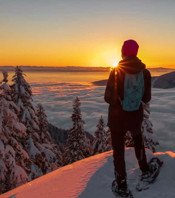 Chamonix: Snowshoe Walk Under the Stars with a Private Guide - Key points at a glance