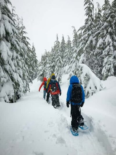 Chamonix: Snowshoe Walk Under the Stars with a Private Guide