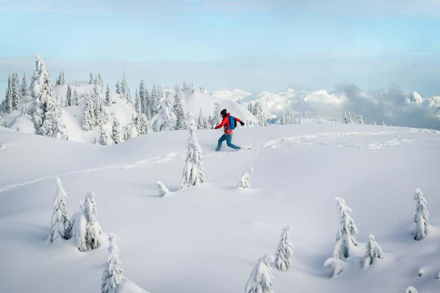 Chamonix: Snowshoe Walk Under the Stars with a Private Guide - Who should book this outing?