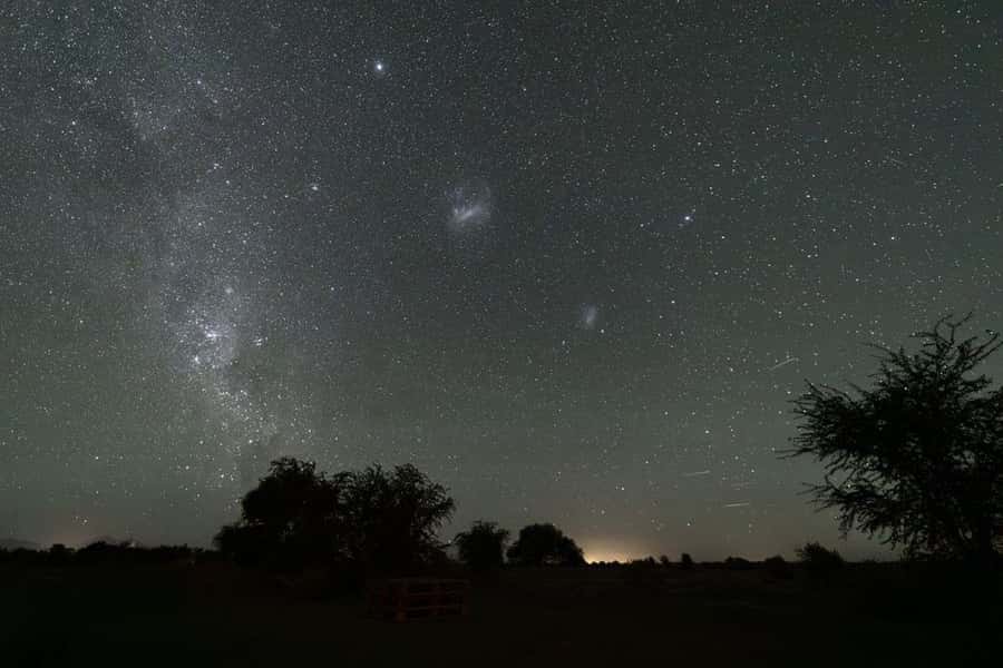 Chile: Astronomical Tour in the Atacama Desert - The guides make the difference
