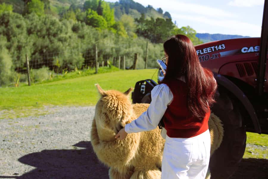 Christchurch: Lake Tekapo Stargazing & Mount Cook 2-Day Tour - Lavender, ice cream, and the changing seasonal plan