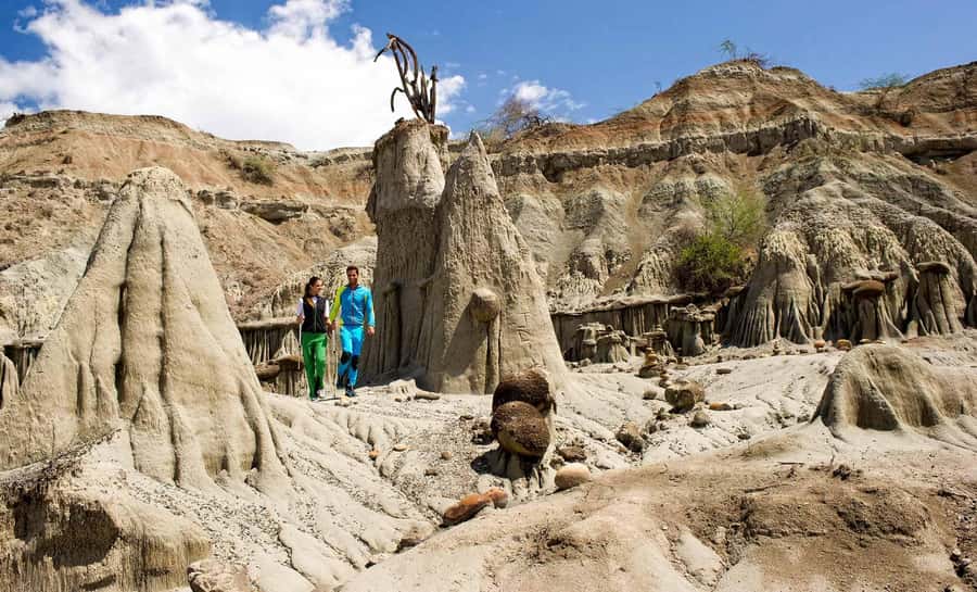 Day Trip to Tatacoa Desert (Horseback, Boat, Stargazing, ..) - Key points to know before booking
