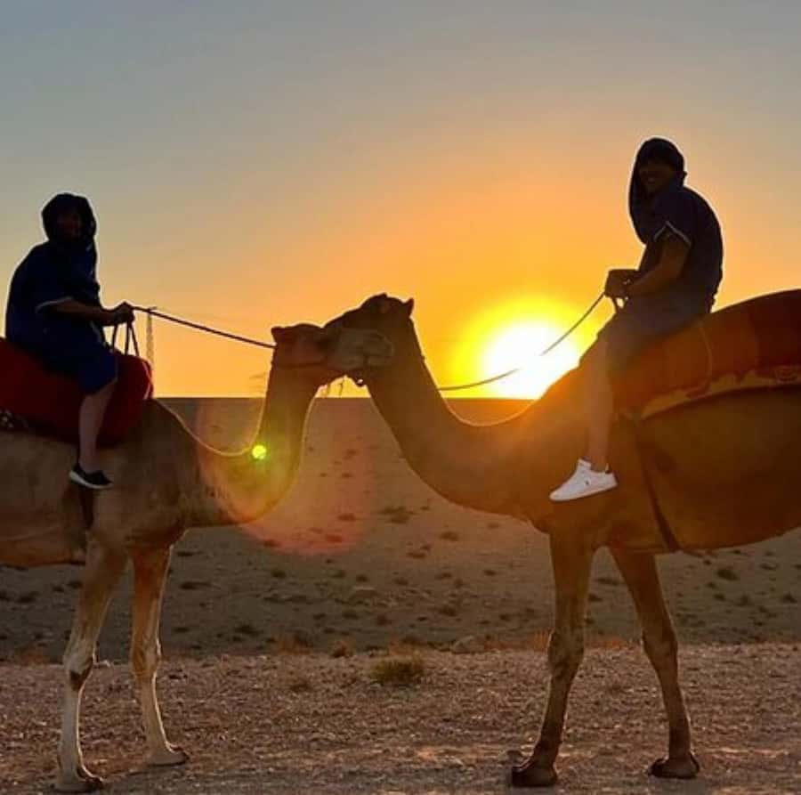 DINNER IN AGAFAY DESERT UNDER THE STARS WITH SHOW AND CAMELS - Key points before you book