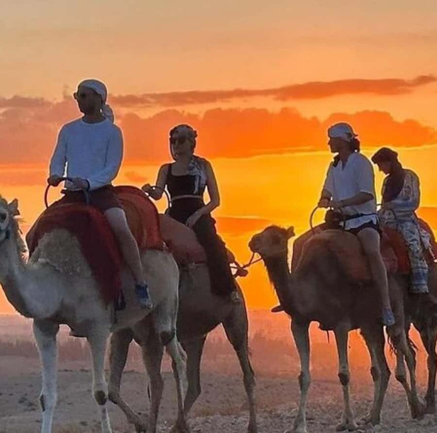 DINNER IN AGAFAY DESERT UNDER THE STARS WITH SHOW AND CAMELS - Who will enjoy this Agafay evening