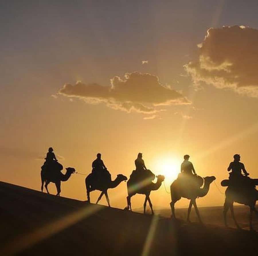 DINNER IN AGAFAY DESERT UNDER THE STARS WITH SHOW AND CAMELS - Practical details that make the night easier