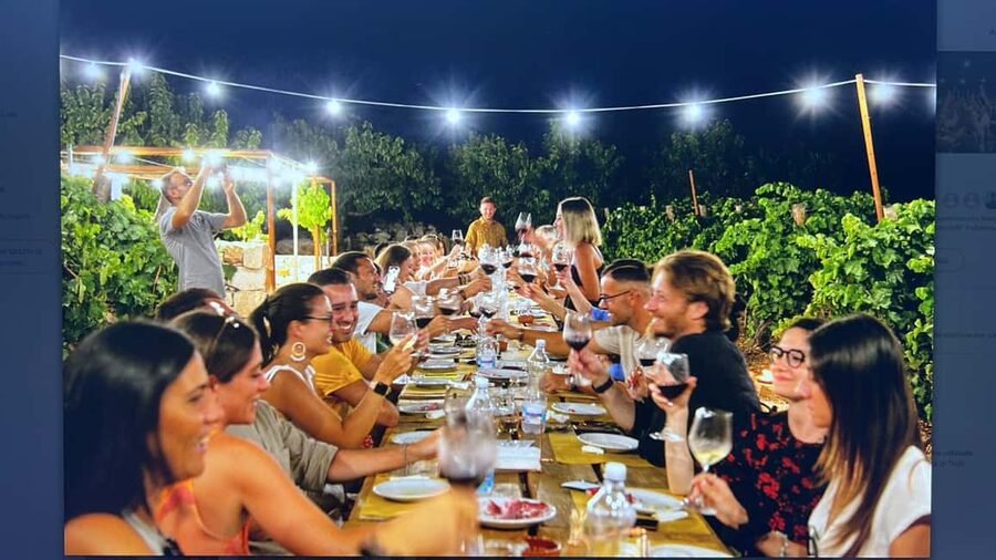 Dinner in the vineyard and wine tasting under the stars - An evening built around the table