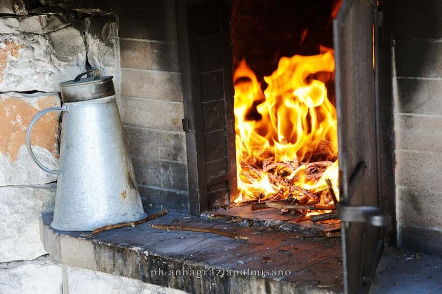 Dinner in the vineyard and wine tasting under the stars - Five Apulian appetizers to begin