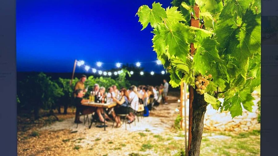 Dinner in the vineyard and wine tasting under the stars - Arriving at Vigna il Castagno