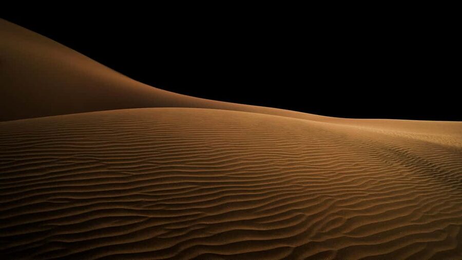 Doha Night Desert Safari Stargazing And Camel Ride - The camel camp and Arabic coffee